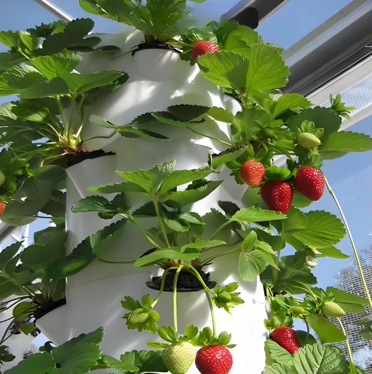都市農業向けモジュール式水耕栽培壁面航空宇宙システム　新しい - Urban Farming Garden のレビューと価格